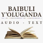 baibuli y android application logo